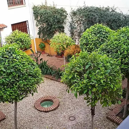 Apartment La Pequena Escalera Mezquita Catedral Cordoba